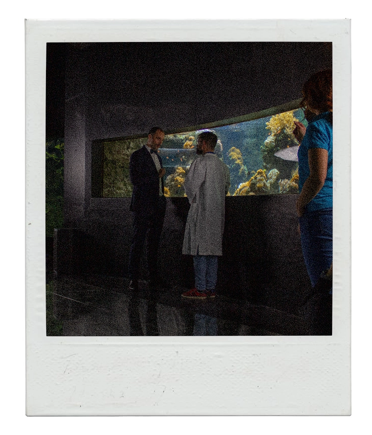 Mystères à domicile – activité ludique et immersive en famille